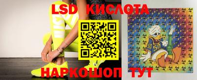 a pvp Краснокаменск