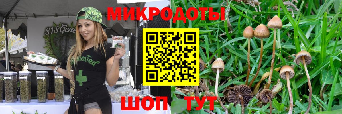 Галлюциногенные грибы MAGIC MUSHROOMS  Вход с VPN  Псилоцибиновые грибы Magic Shrooms  Кохма 